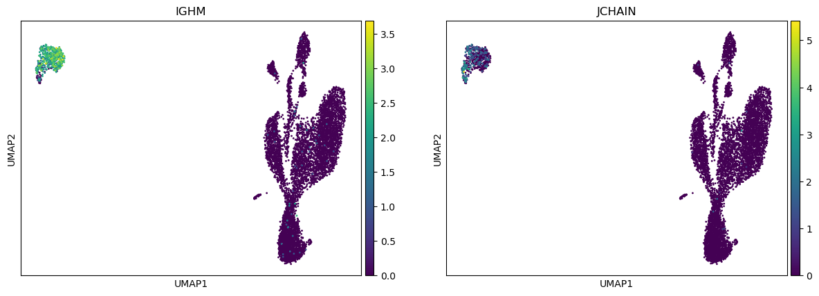 ../../_images/notebooks_base_1b_dandelion_noreannotation-10x_data_36_0.png