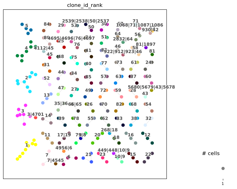 ../../_images/notebooks_base_1c_dandelion_scirpy_37_2.png