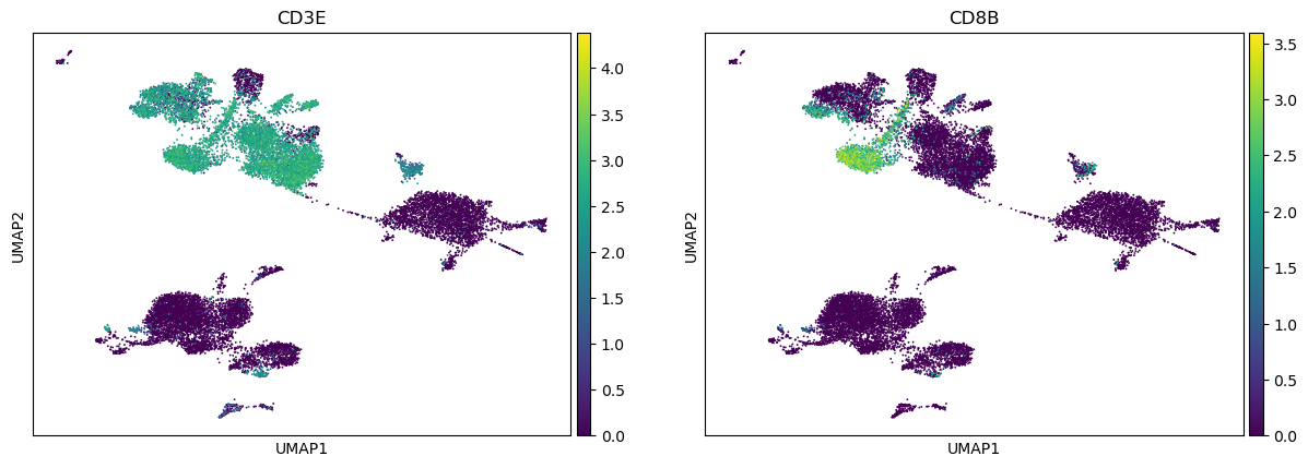 ../../_images/notebooks_base_7_dandelion_TCR_data_10x_data_34_0.png