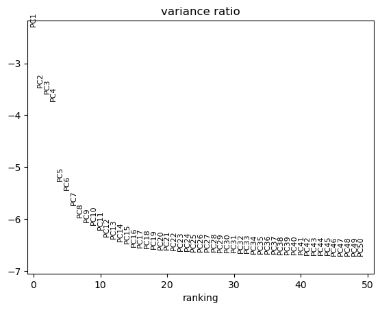../../_images/notebooks_polars_1b_dandelion_noreannotation-10x_data_polars_30_0.png