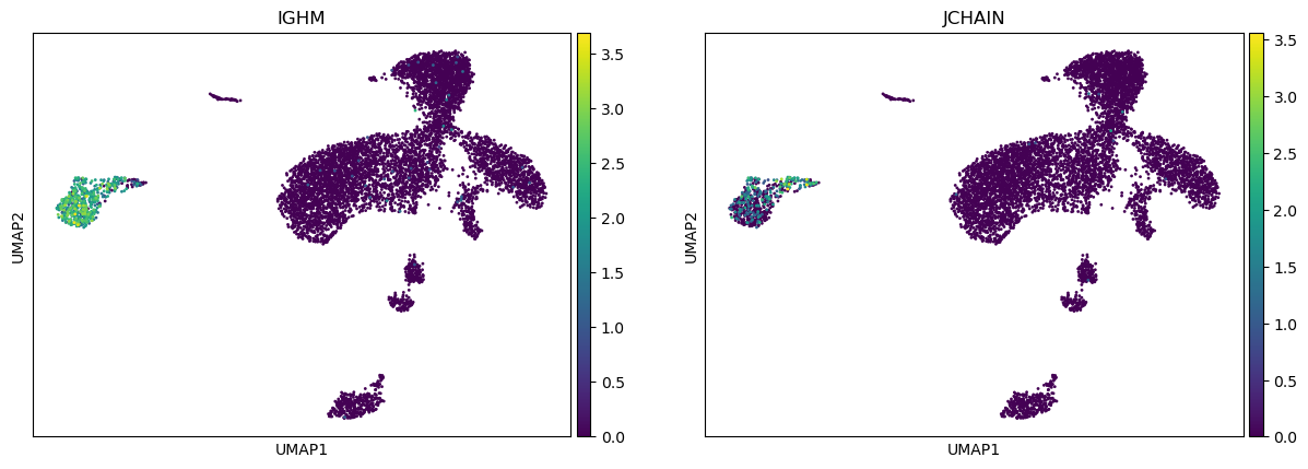 ../_images/notebooks_1b_dandelion_noreannotation-10x_data_38_0.png