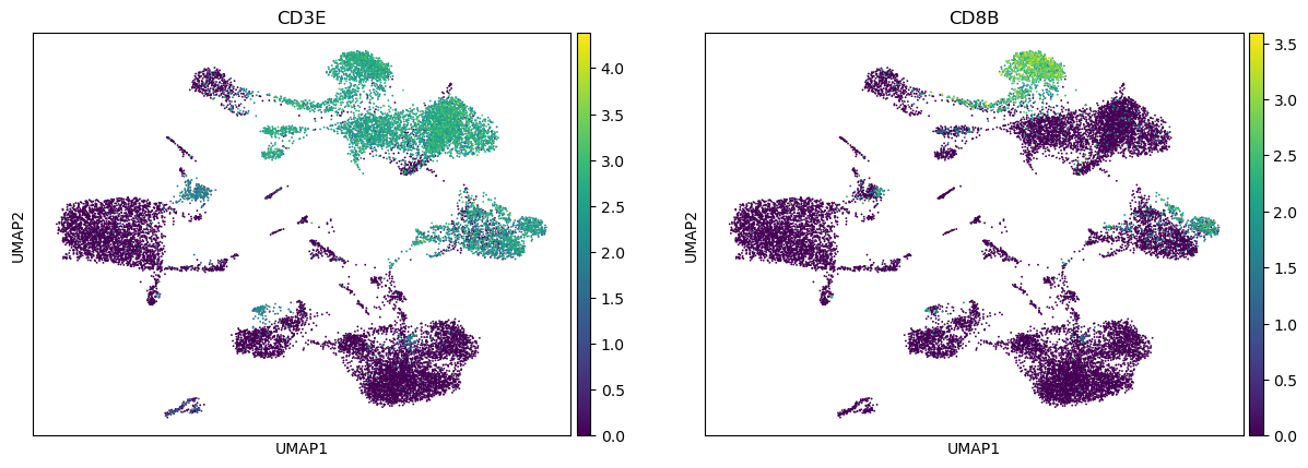 ../_images/notebooks_7_dandelion_TCR_data_10x_data_46_0.png